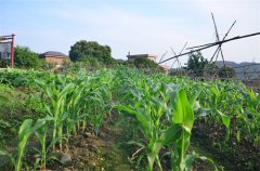 广州黄埔铁军拓展培训中心：锻造卓越的熔炉
